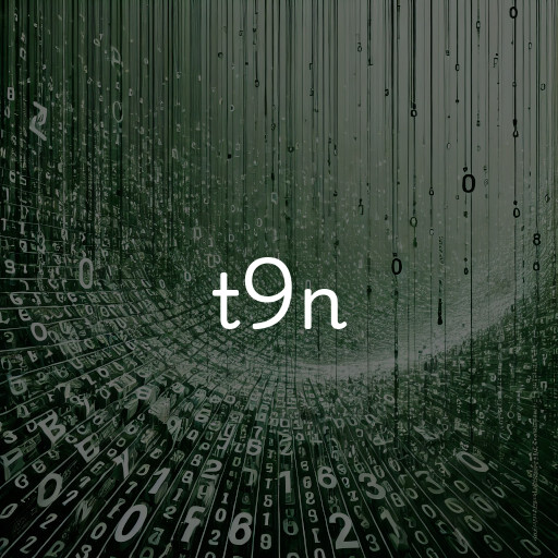 t9n